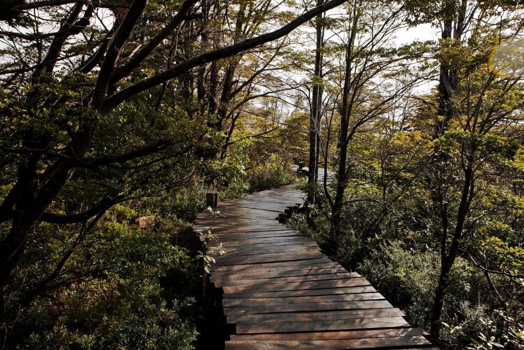 Готель Patagonia Camp Torres del Paine National Park Екстер'єр фото